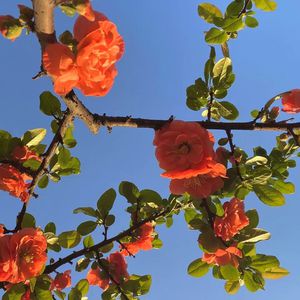 雷电将军🈲️🔞黄网站
