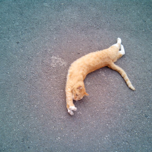 雷电将军🈲️🔞黄网站
