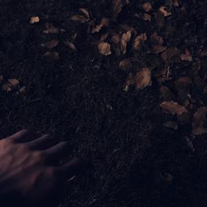 雷电将军🈲️🔞黄网站
